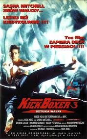 Kickboxer-3.jpg