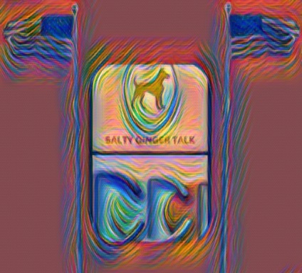 Salty-Ginger-Talk-Interview-telemarketing-guest-Richard-Blank-Costa-Ricas-Call-Center..jpg