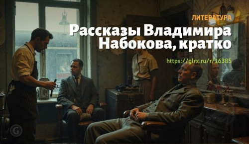 wt_rasskazy-vladimira-nabokova-vladimira-nabokova9874.jpg